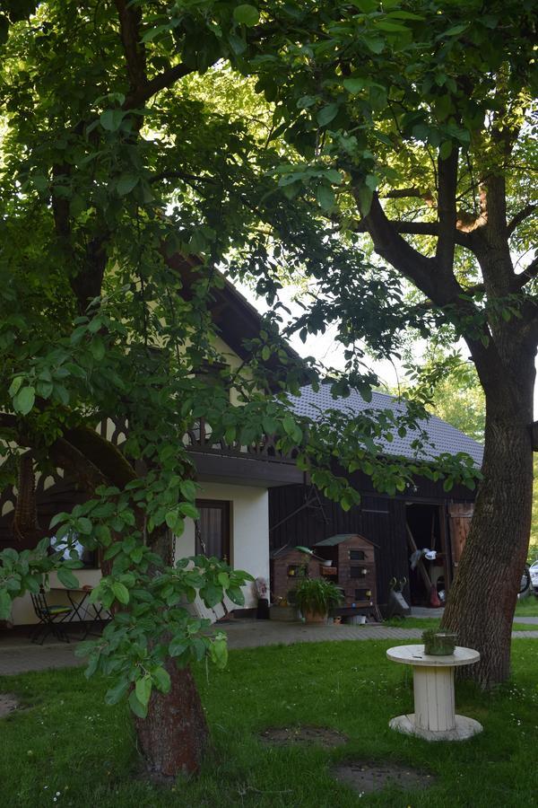 Gaestehaus Bohg Burg  Kültér fotó